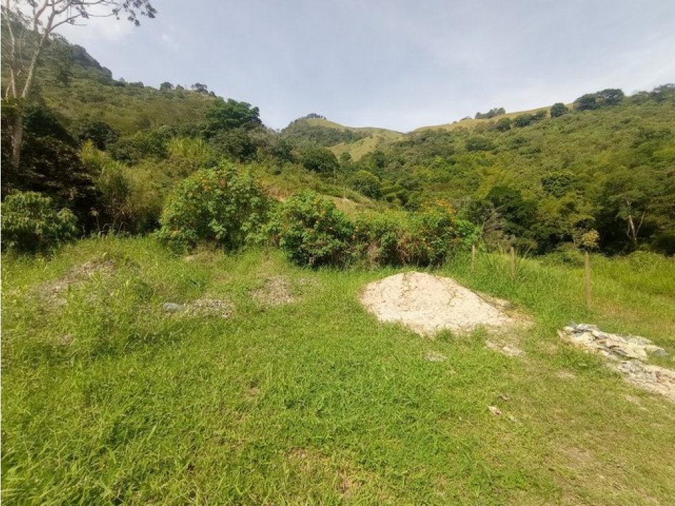 VENDO LOTE DE 5.270 m² EN LA PARCELACIÓN LA PALMICHALA EN TITIRIBÍ - 6