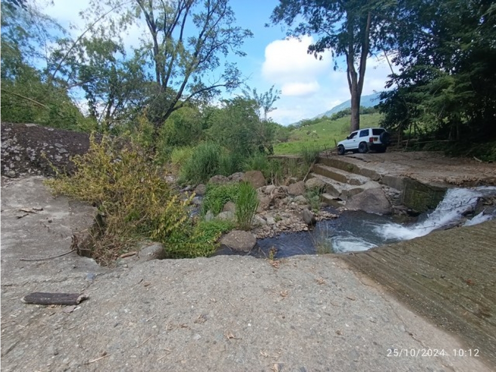 VENDO FINCA / LOTE GANADERA DE 20 CUADRAS CERCA A MARSELLA EN FREDONIA - 6