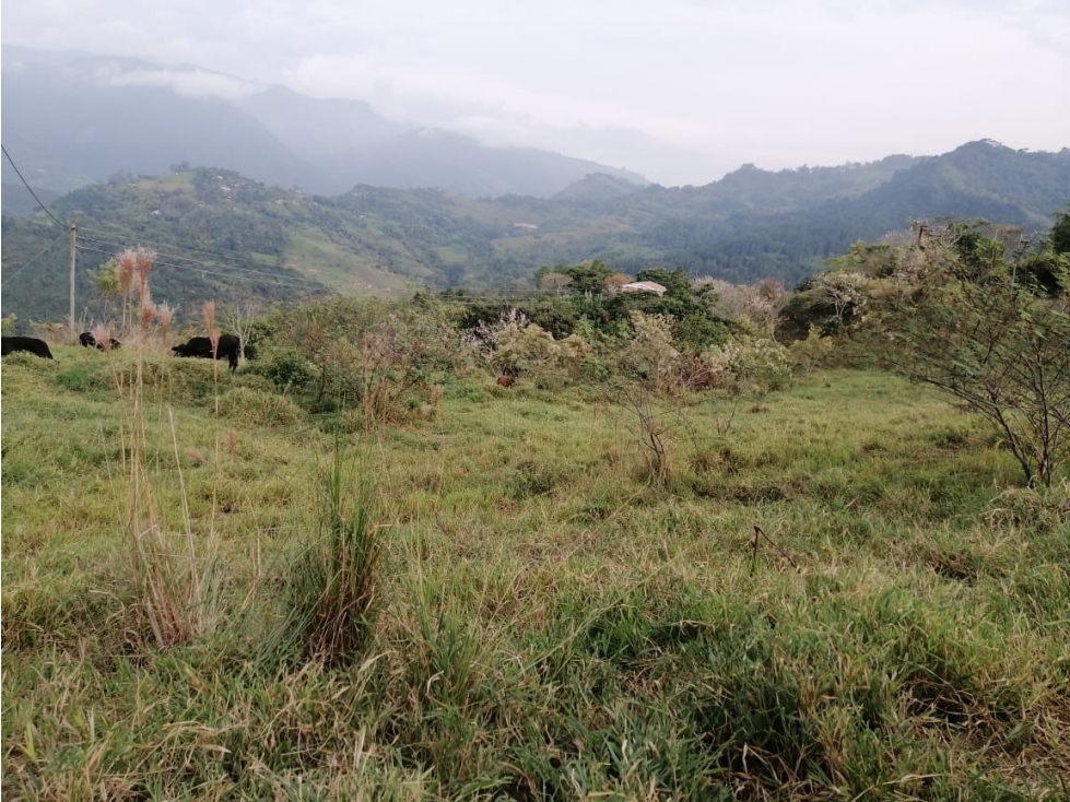 VENDO LOTE DE 6,75 CUADRAS EN VENECIA VEREDA CON VISTA A CERRO TUSA - 6