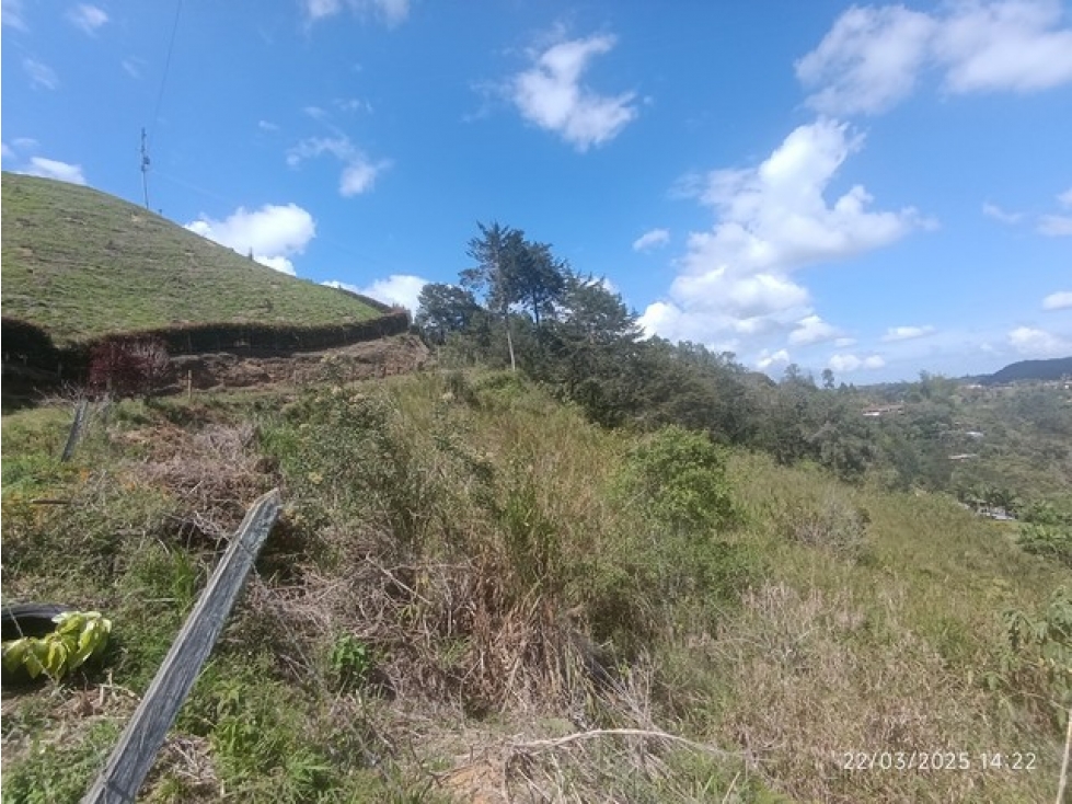 VENDO LOTE EN SAN VICENTE DE FERRER PARA SUBDIVIDIR O CONTRUIR FINCA — foto 6
