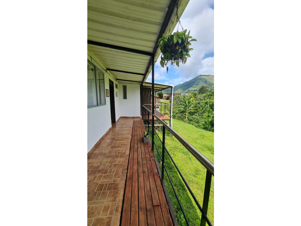 VENDO FINCA EN AMAGÁ SUROESTE ANTIOQUEÑO DE 2,5 CUADRAS - 5