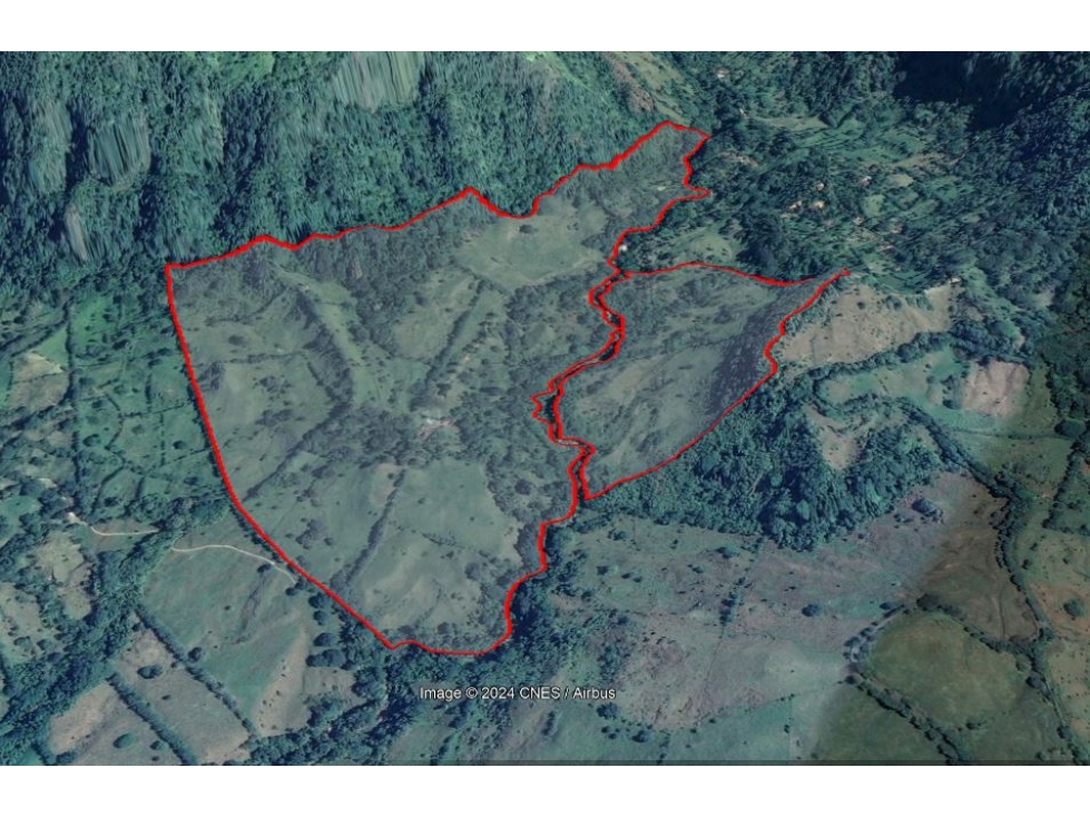 VENDO FINCA GANADERA DE 123 CUADRAS CERCA A MARSELLA EN FREDONIA - 2