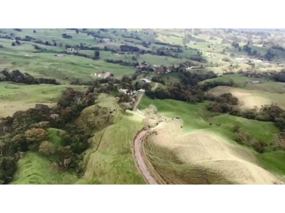 VENDO FINCA LECHERA DE 20 CUADRAS EN SAN FELIX A 4,5 KM DE LA VÍA PPAL — foto 5