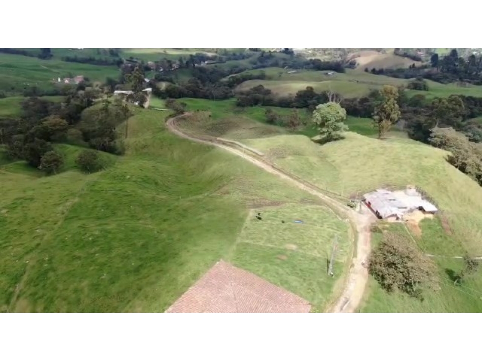 VENDO FINCA LECHERA DE 20 CUADRAS EN SAN FELIX A 4,5 KM DE LA VÍA PPAL — foto 6