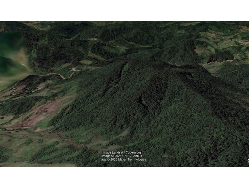 VENDO FINCA / LOTE DE 15 HECTÁREAS DE BOSQUE EN EL CARMEN DE VIBORAL — foto 5