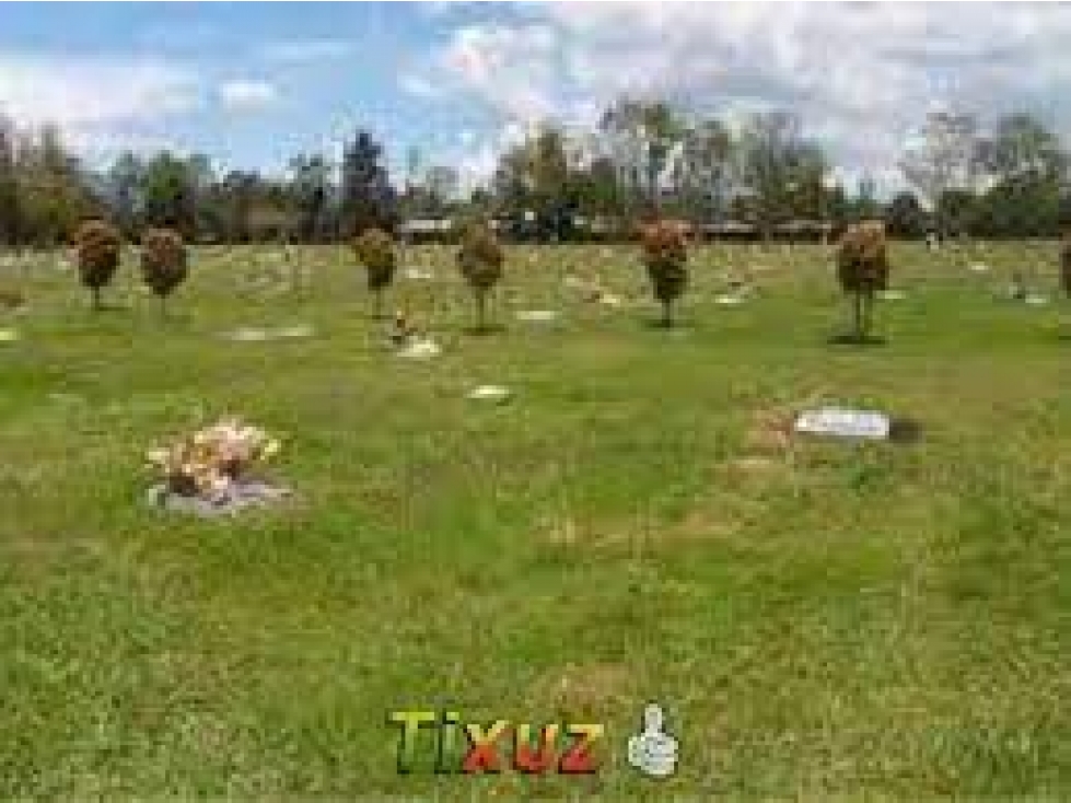 $13`999 M/POR VIAJE AL EXTERIOR VENDO LOTE DOBLE CEMENTERIO NORTE BTA. - 5