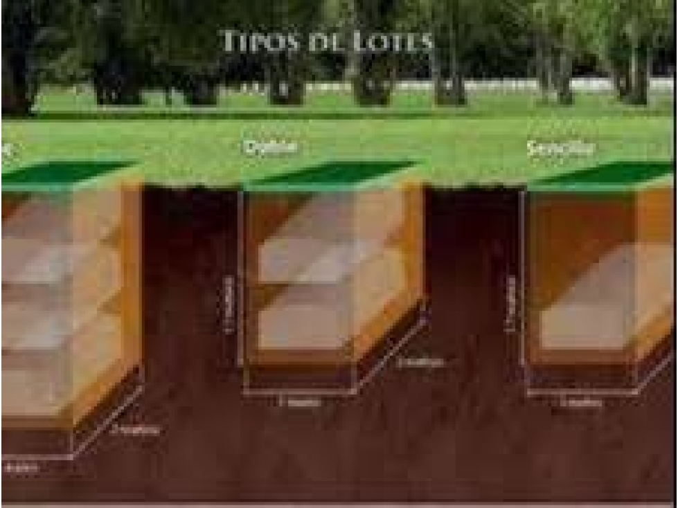 $13`999 M/POR VIAJE AL EXTERIOR VENDO LOTE DOBLE CEMENTERIO NORTE BTA. - 3
