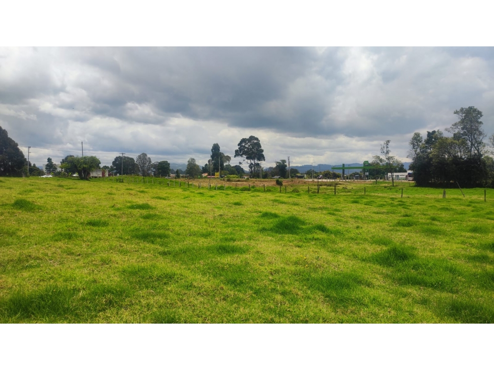 VENDO LOTE AGRO INDUSTRIAL SOBRE AUTOPISTA BOGOTÁ MEDELLÍN! - 2