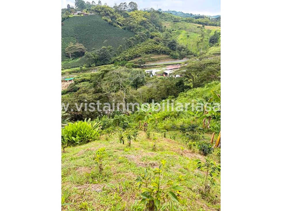 Venta Lote Sector Tarapaca, Risaralda — foto 5
