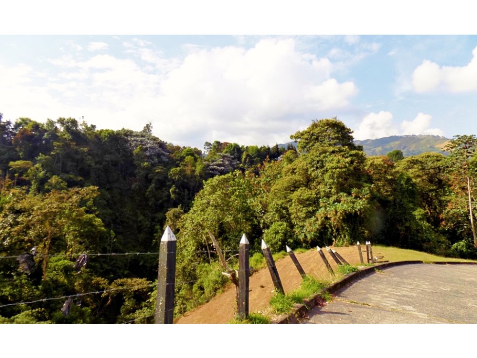Venta Lote Sector El Trebol,Manizales — foto 4