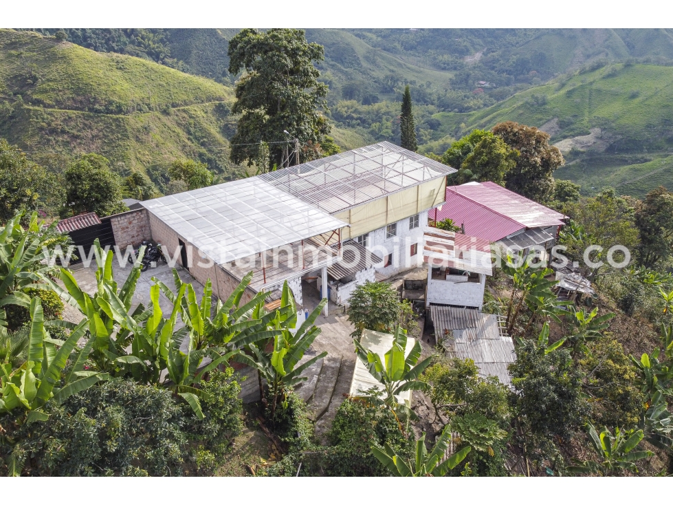 Venta Finca La Siria, Manizales — foto 3