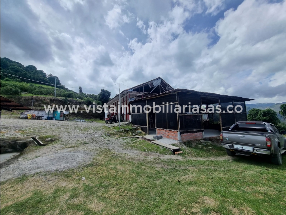 Venta Fincas Sector Salamina, Cadas - 3