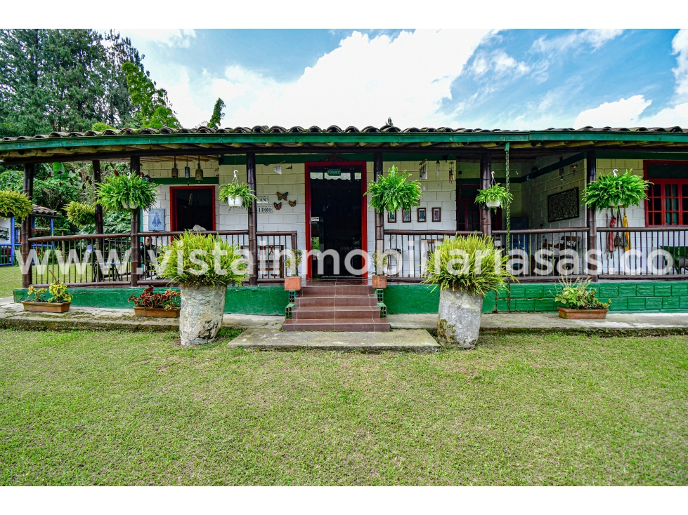 Venta Finca Vereda Alto Arroyo, Villamaría, Caldas - 5