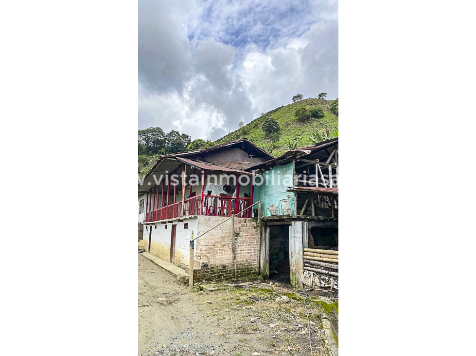Venta Finca Chinchina, Caldas — foto 3