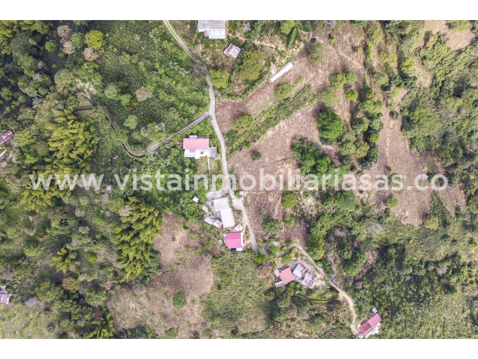 Venta Finca La Siria, Manizales — foto 6