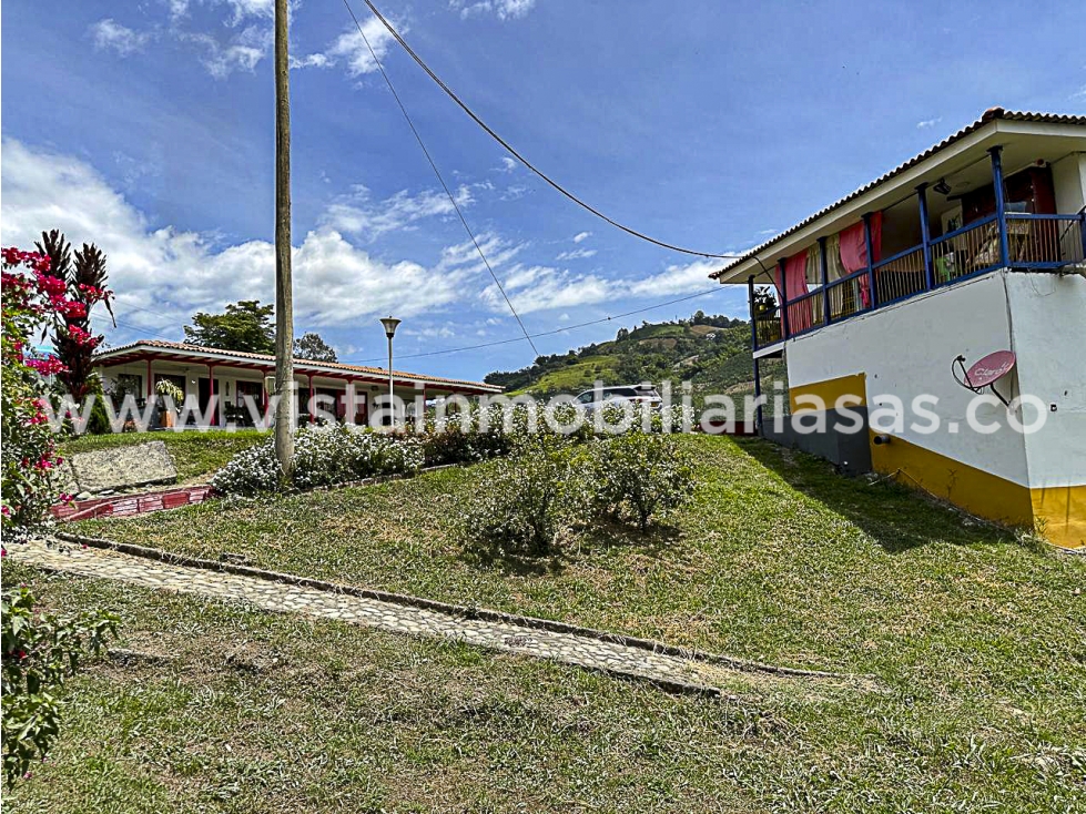 Venta Finca en la Vereda Varsovia, Filadelfia, Caldas - 3