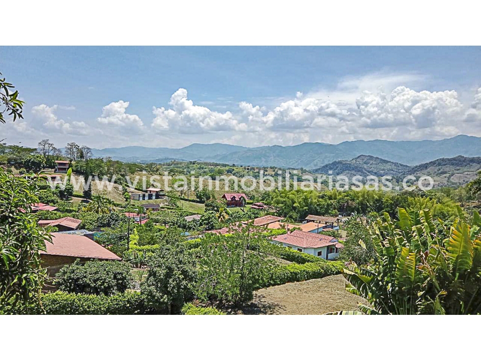 Venta Lote Vereda Palermo, Neira - 5