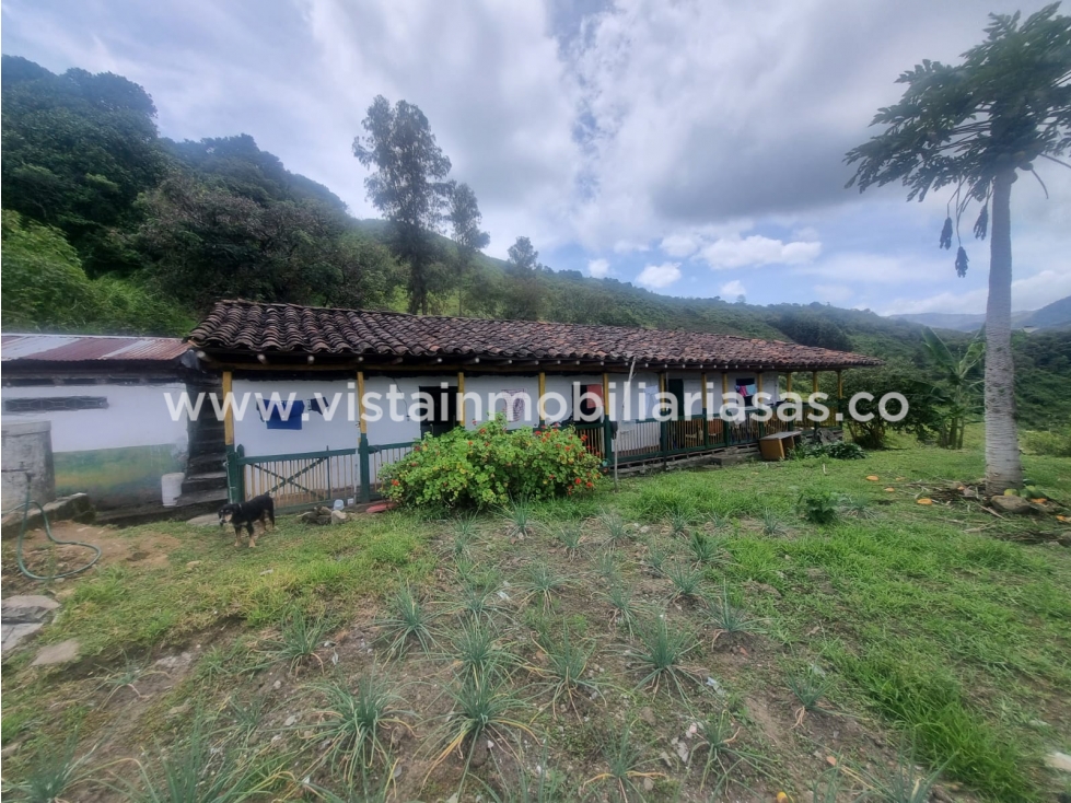 Venta Fincas Sector Salamina, Cadas - 2