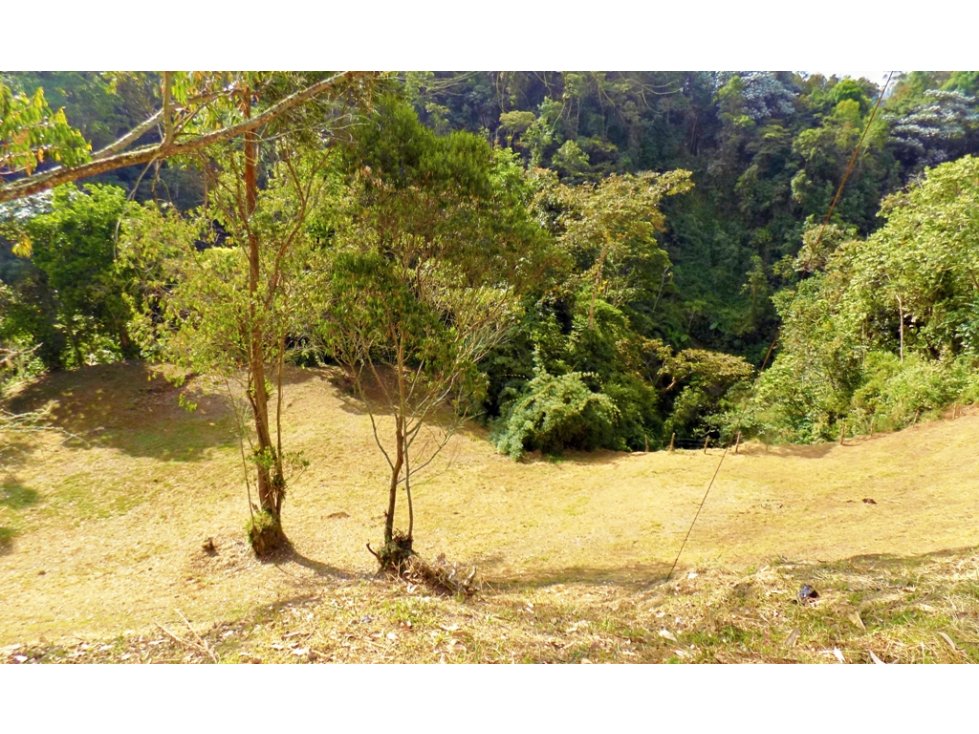 Venta Lote Sector El Trebol,Manizales — foto 2