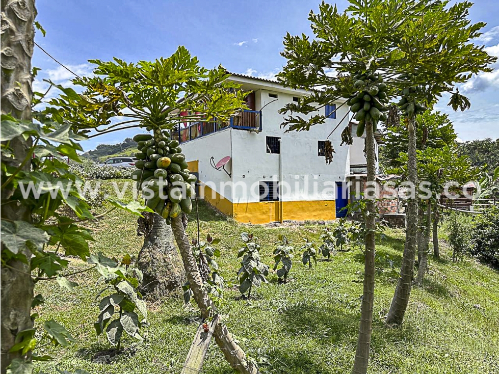 Venta Finca en la Vereda Varsovia, Filadelfia, Caldas - 2