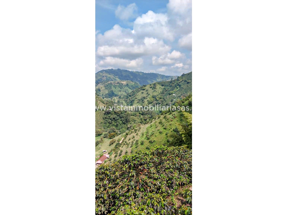Venta Finca Vereda Llanitos, Villamaría - 2