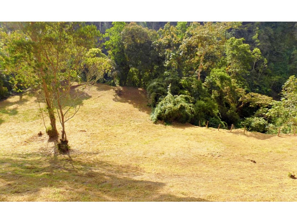 Venta Lote Sector El Trebol,Manizales — foto 3