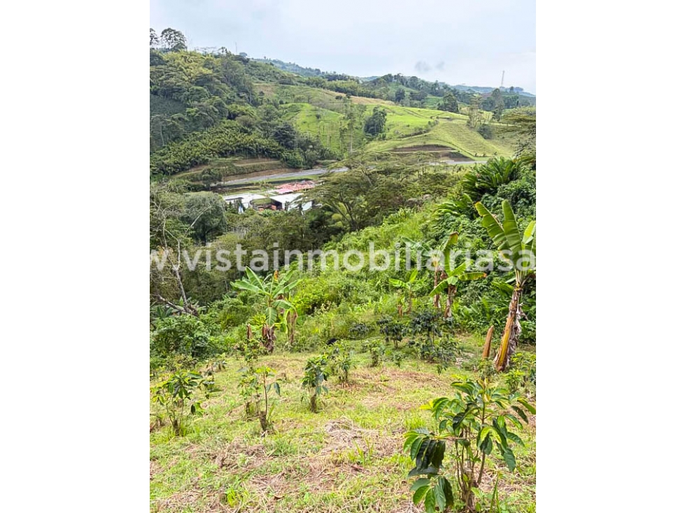 Venta Lote Sector Tarapaca, Risaralda