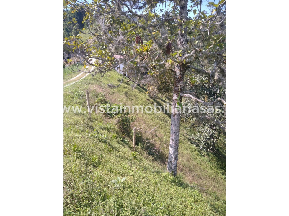 Venta Lote San Peregrino, Vereda Alto Minitas, Manizales — foto 4