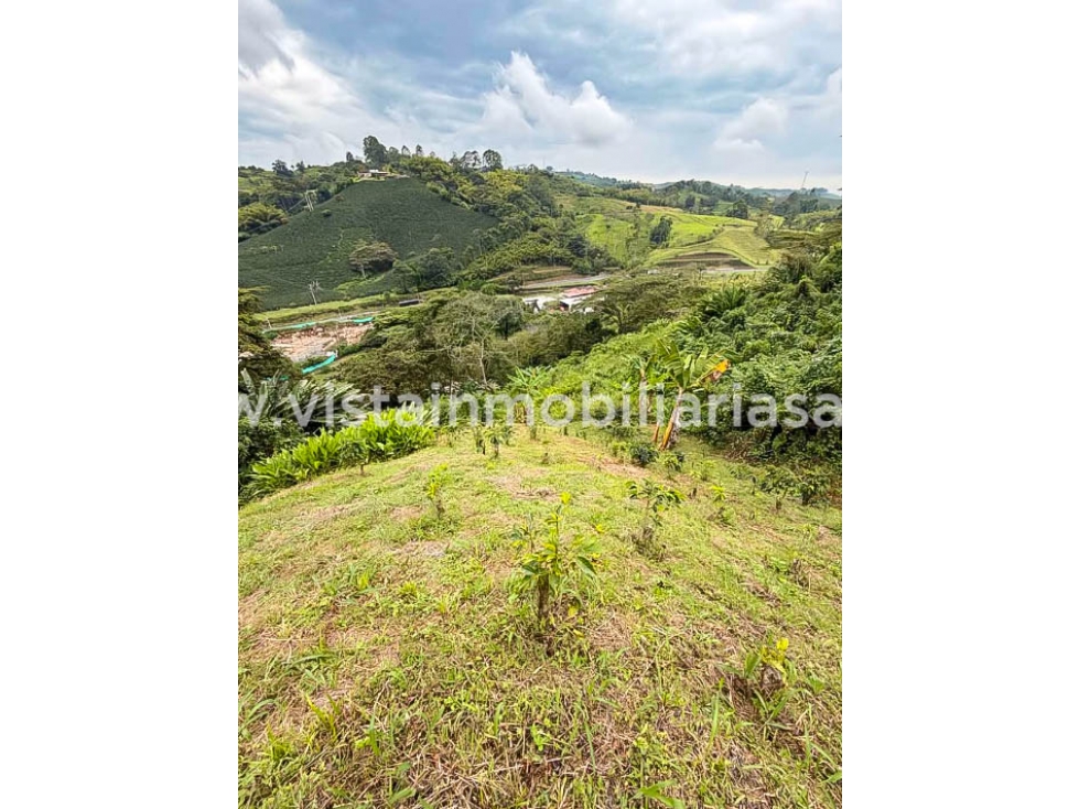 Venta Lote Sector Tarapaca, Risaralda — foto 3