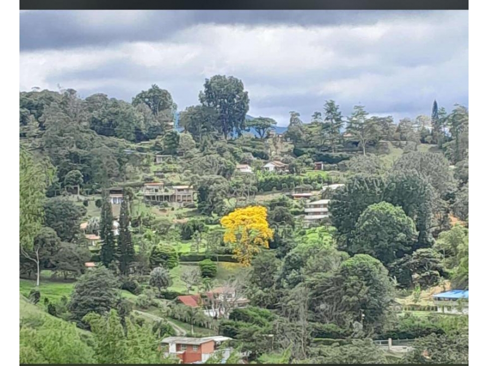 VENTA FINCA EN BORRERO AYERBE