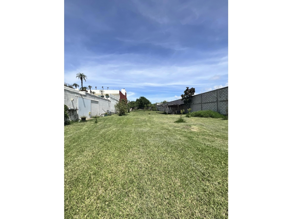 TERRENO EN VENTA - 5