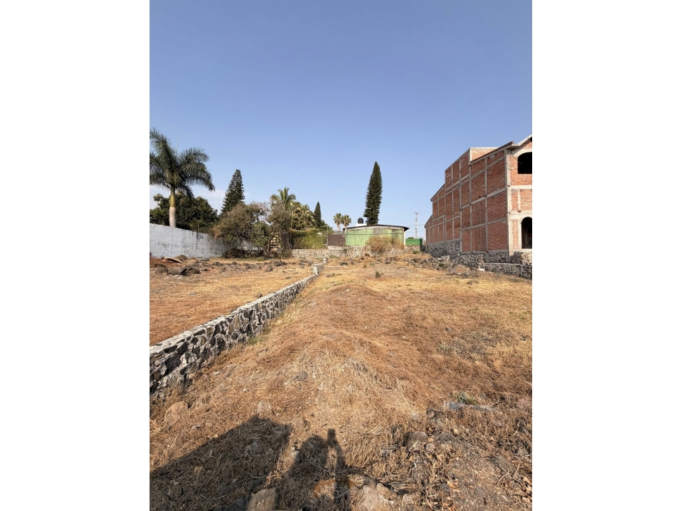 TERRENO EN AMATES DE OAXTEPEC - 5