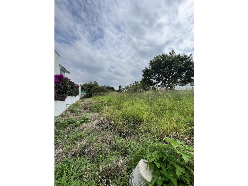 TERRENO EN OPORTUNIDAD - 6