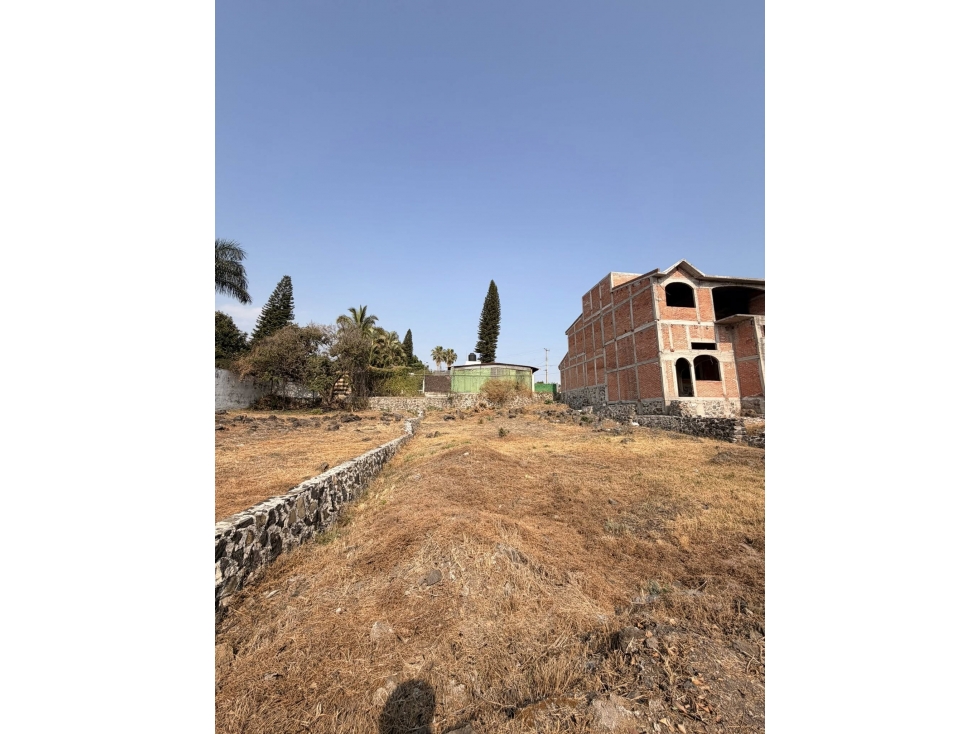 TERRENO EN AMATES DE OAXTEPEC - 6