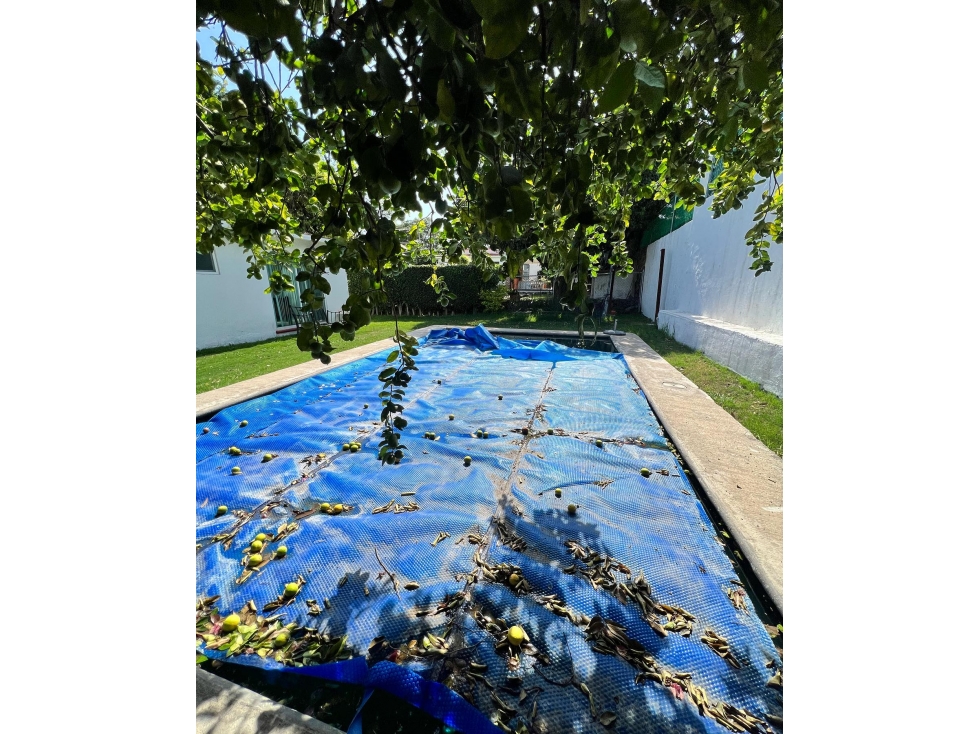 Casa de un nivel ubicada en lomas de cocoyoc — foto 4