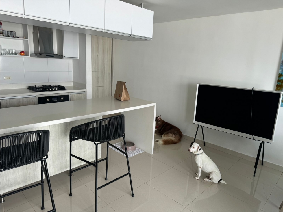 SE ARRIENDA APARTAMENTO EN MIRAMAR