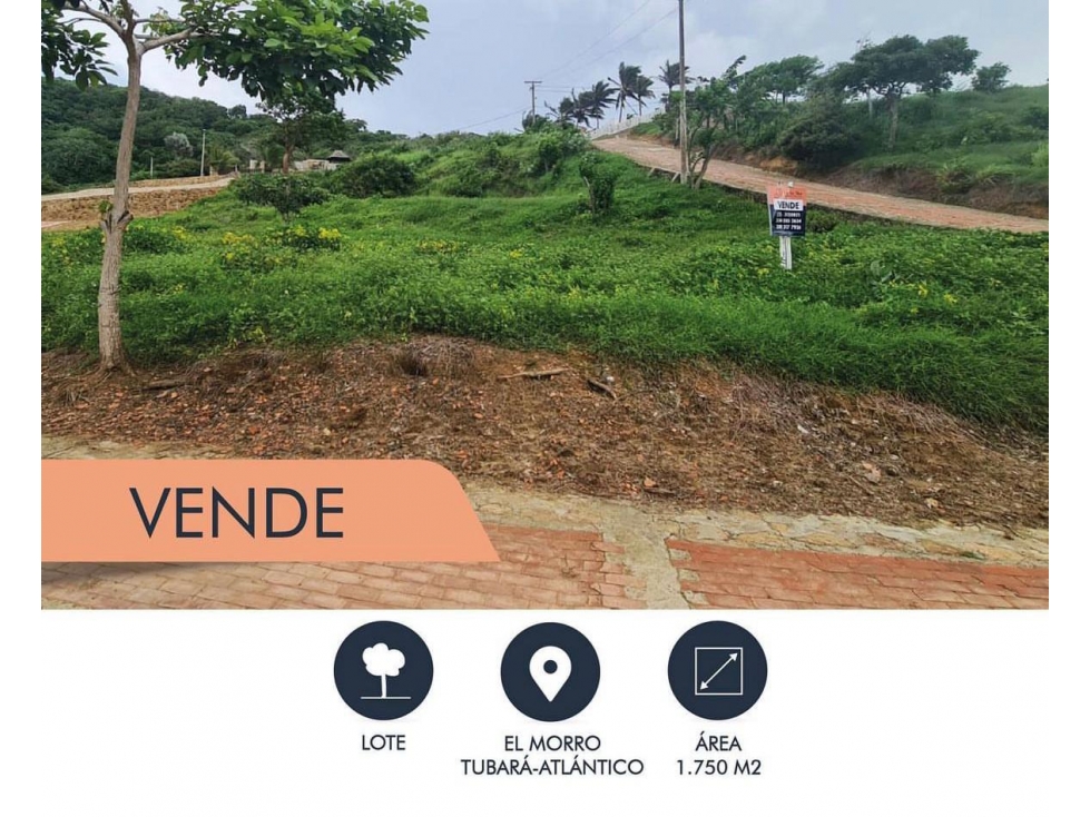SE VENDE LOTE EN EL SANTUARIO VIA CARTAGENA - 5