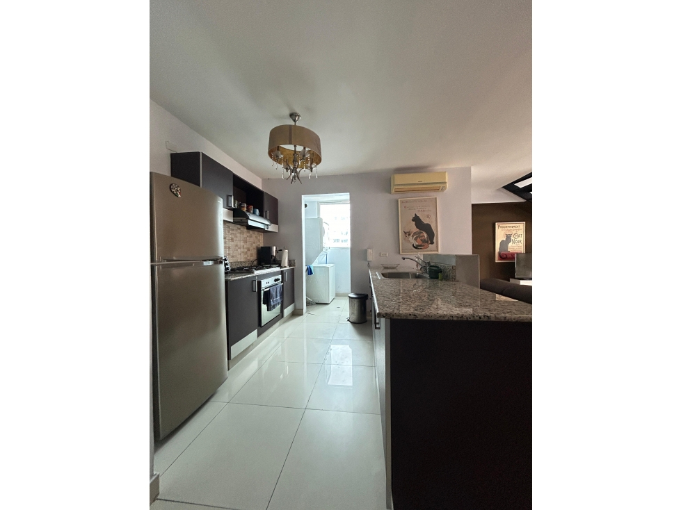 APARTAMENTO TIPO LOFT EN VENTA EN EL CANGREJO, PH VITRO LOFT. - 5