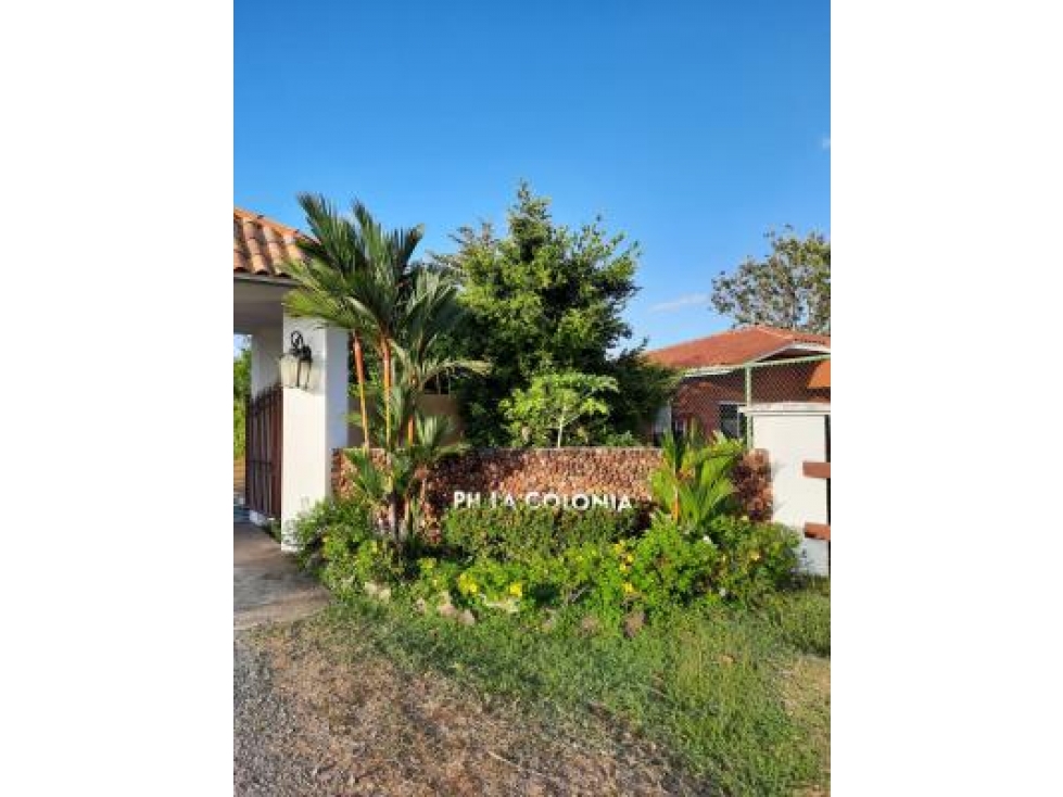 VENTA DE LOTE DE TERRE EN PUNTA CHAME.