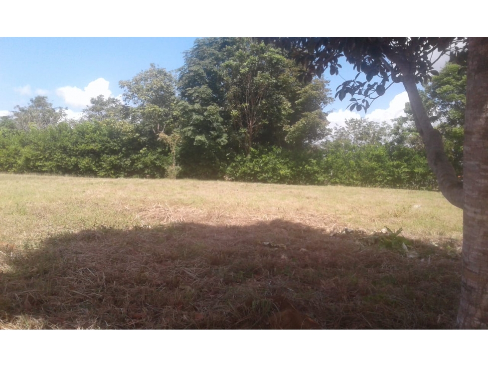 VENTA DE LOTE DE TERRE EN PUNTA CHAME. — foto 4