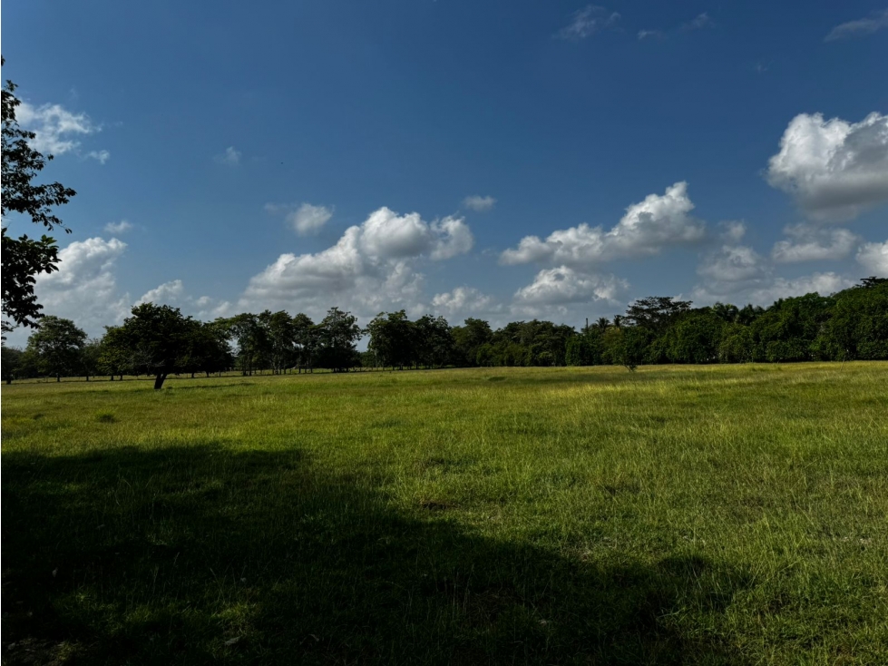 MONTERIA - CORDOBA — foto 4