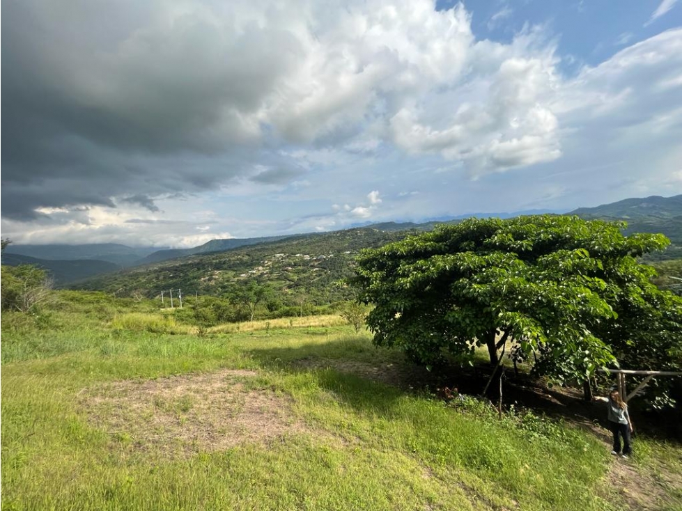 Lote - Proyecto San Joaquín La Mesa - 5