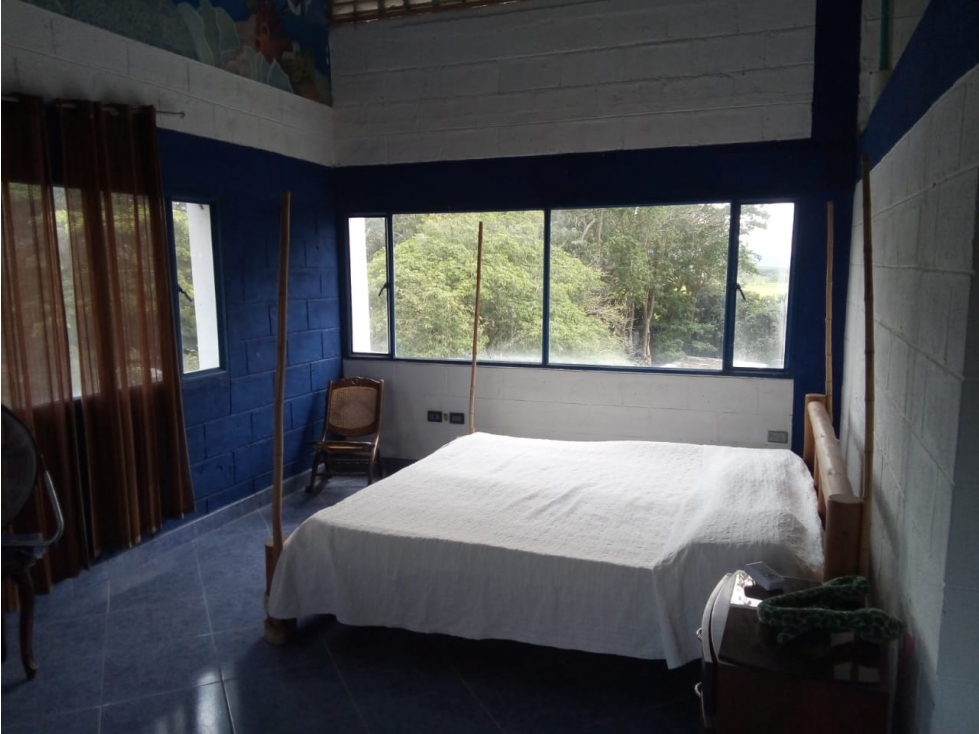 VENTA FINCA Y LOTES EN GUAYABAL TOLIMA , AGRICOLA ,CON PLANTACIONES - 5