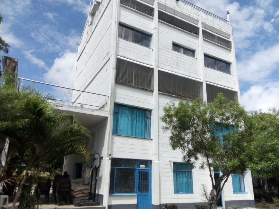 VENTA FINCA Y LOTES EN GUAYABAL TOLIMA , AGRICOLA ,CON PLANTACIONES - 1