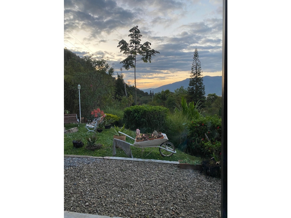 Oportunidad de inversión venta de finca cafetera en funcionamiento - 3
