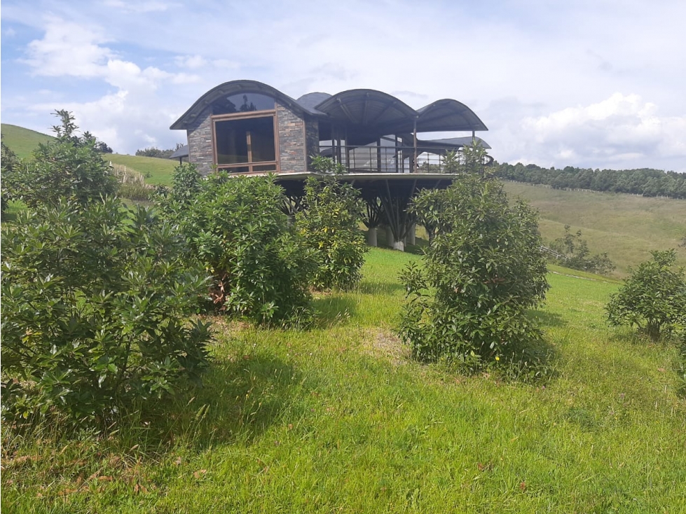 EXCELENTE FINCA EN VENTA SUBACHOQUE - 1