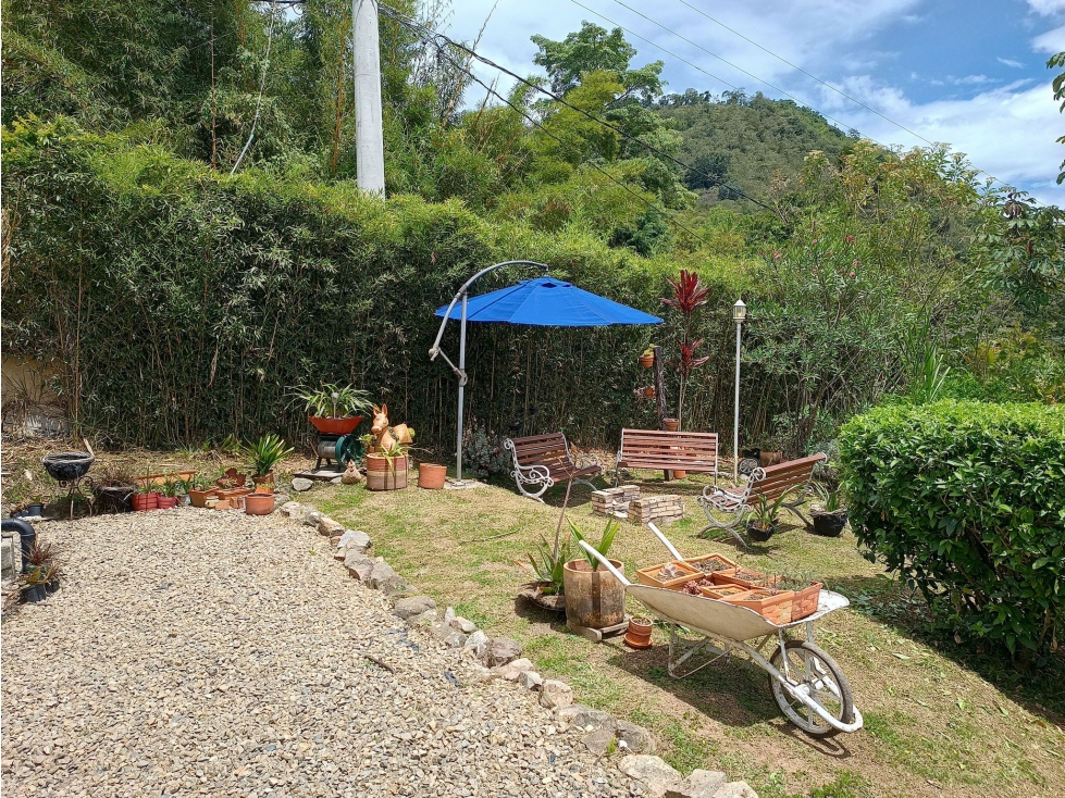 Oportunidad de inversión venta de finca cafetera en funcionamiento - 4