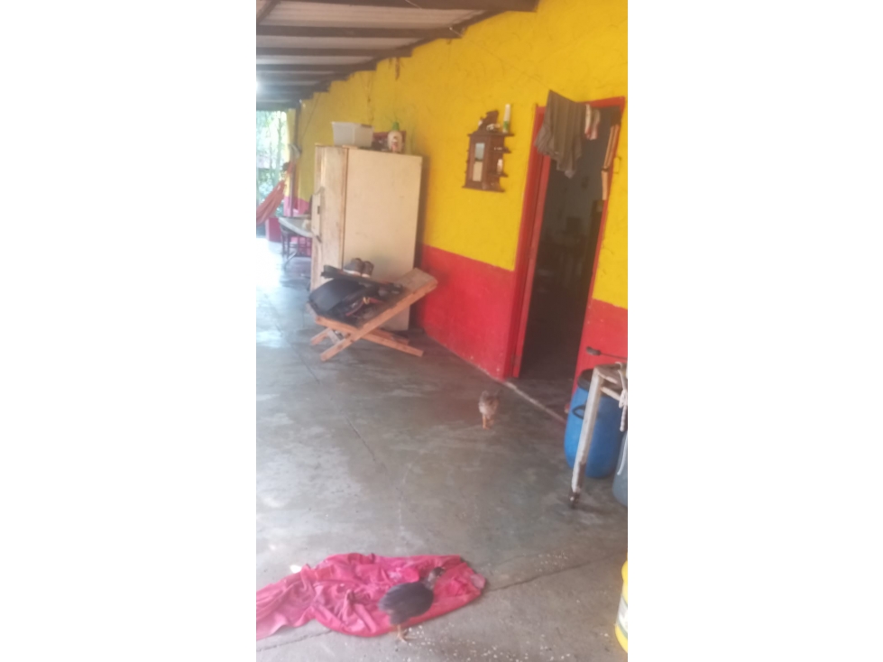 SE VENDE FINCA A PUERTA CERRADA SANTO TOMAS- POLONUEVO - 1