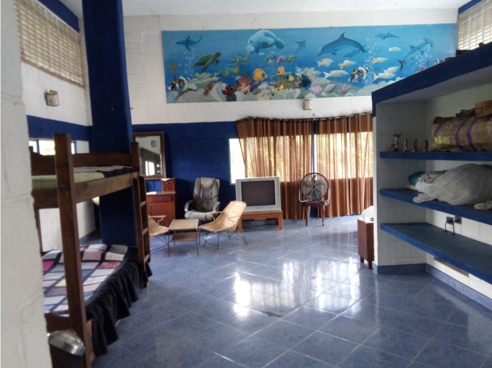 VENTA FINCA Y LOTES EN GUAYABAL TOLIMA , AGRICOLA ,CON PLANTACIONES - 4