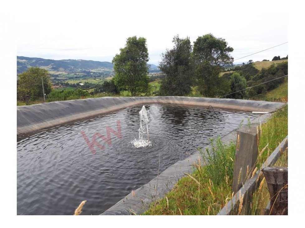 FINCA EN VENTA CON CULTIVO ARANDANOS AZUL SUBACHOQUE - 4